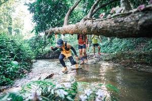 BIB: 
                            <button type="button" onclick="openModal(25435967)" class="btn btn-primary btn-sm float-right btn-popup" data-toggle="modal" data-target=".modal-high-quality">
                        <i class="fas fa-shopping-cart"></i> Add to Cart
                    </button>
                                            <button type="button" onclick="isThisMe(25435967, true)" class="btn btn-success btn-sm float-right btn-popup btn-isme hidden" data-toggle="tooltip" data-placement="bottom" title="นี่คือรูปของคุณใช่ไหม คลิกที่นี่เพื่อเอาเข้าอัลบั้ม">
                        <i class="fas fa-plus"></i> Add to album
                    </button>
                    <button type="button" onclick="isThisMe(25435967, false)" class="btn btn-warning btn-sm float-right btn-popup btn-isnotme hidden">
                        <i class="fas fa-ban"></i> Remove from album
                    </button>